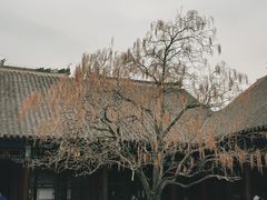 -张学良旧居陈列馆(大帅府)