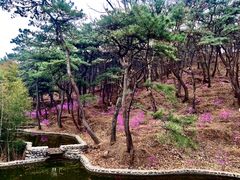 -红螺寺