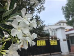 -西郊壹号
