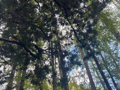 -汇龙潭