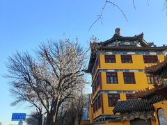 -挂甲禅寺