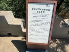 -磬锤峰森林公园