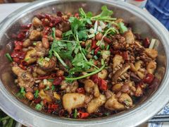 -食神又名厕所兔