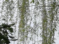 -天鹅湖体育公园