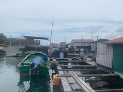 -蓝湾碧波·老字号·疍家非遗海上餐厅