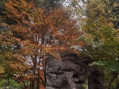 -龙头寺公园