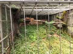 -宁波野生动物园