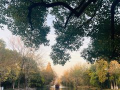 -西溪国家湿地公园