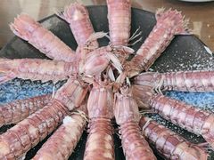 -鲁前海沿儿