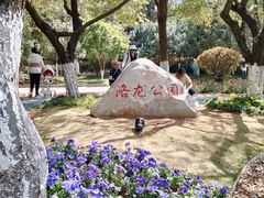 -洛龙公园