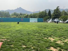 -趣玩宠物乐园寄养训犬训狗游泳池