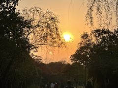 -蜀冈西峰生态公园