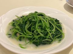 -利苑酒家(合景国际金融广场店)
