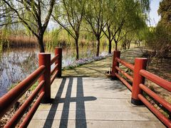 -长兴太湖图影湿地文化园