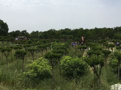 -武汉紫薇都市田园