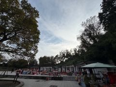 -冶父山国家森林公园
