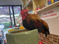 -重庆何乌鱼(南湖逸家店)