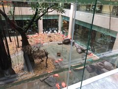 -麒麟中餐厅·经典粤菜·地道菜式老字号(广州长隆酒店)