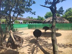 -西霞口神雕山野生动物世界