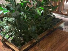 -浅深(北京北四环精品店)