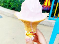 -广州长隆欢乐世界