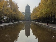 -玲珑塔公园
