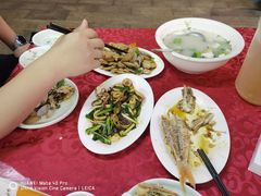 -蛇口康乐快餐鱼仔档(翠苑小区店)