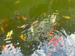 -Peet's Coffee皮爷咖啡(豫园店)