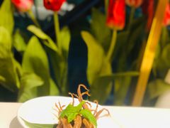 美味鸭舌-维园悦谱·海派家常菜(乌鲁木齐南路店)