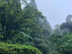-庐山风景区花径公园