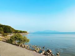 -深圳湾公园(南山区)