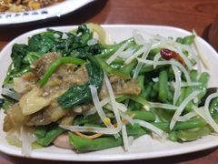 -新白家罩饼(三丰路店)