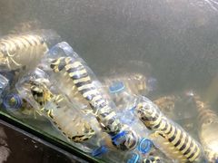 -竹林小屋(库塔店)