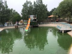 -北京鹿世界主题园