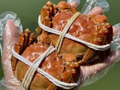 -蟹天蟹地农家菜·阳澄湖大闸蟹(浅水湾店)