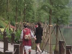 -重庆彩云湖湿地公园