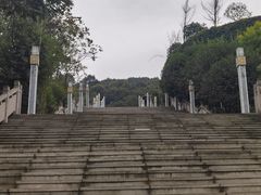 -铁山坪森林公园