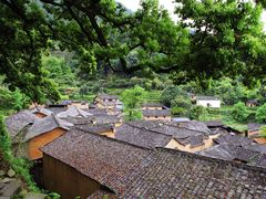 -杨家堂村