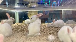 -宝贝王(许昌店)