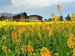 -中国天府农业博览园