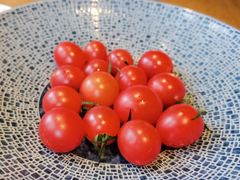 番茄-新荣记(西溪湿地店)