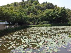 -李小龙乐园(顺德均安店)