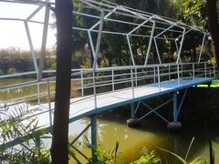 -天下先生态园农庄CS团建露营地(海鸥岛店)