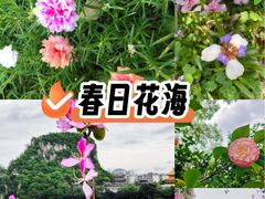 -柳侯公园