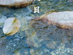 -建社鱼庄(管坪店)