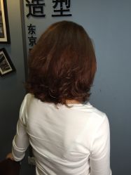 -藤野造型