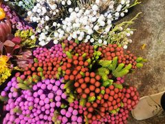 -双季花艺园艺市场(浦东店)
