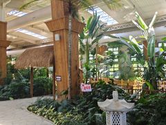 -南宫五洲植物乐园