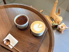 -Again Coffee Roaster(香蜜湖店)