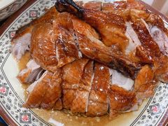 -聂记粤菜馆(鼓西路店)
